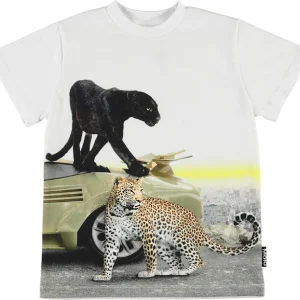 MOLO - T-Shirt Garçon Route