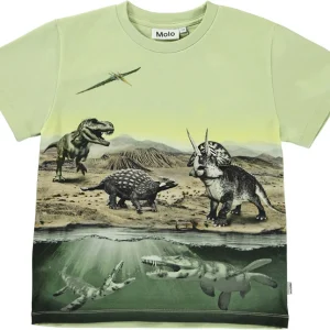 MOLO - T-Shirt Garçon Rame