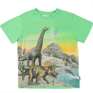 MOLO - T-Shirt Garçon Rame Dinos