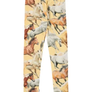 MOLO - Legging Niki GOTS Horse Dreams