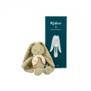 Pantin lapin Vert - 25 cm